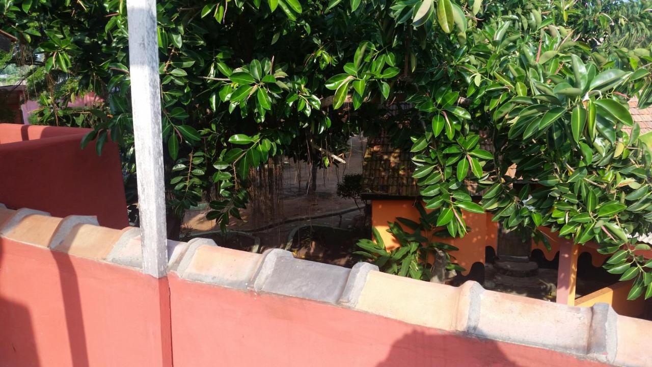 Big Milly'S Backyard Hotel Kokrobite Ngoại thất bức ảnh