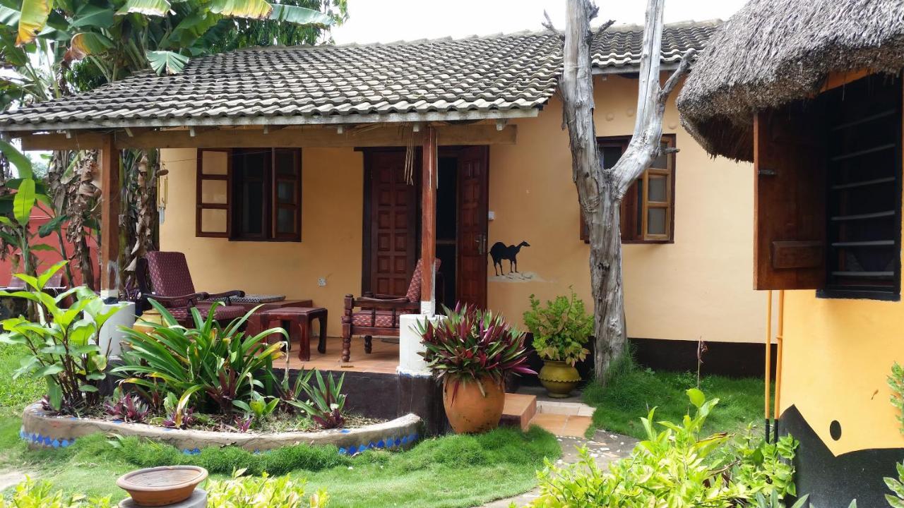 Big Milly'S Backyard Hotel Kokrobite Ngoại thất bức ảnh